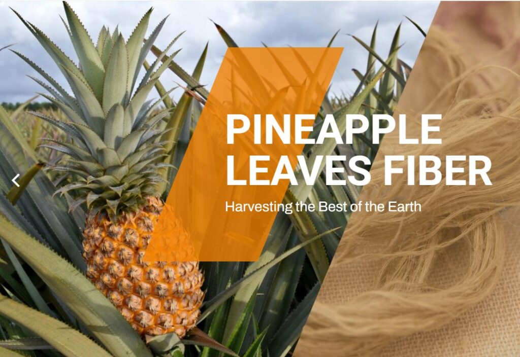 pineapple fiber from Taiwan UKL